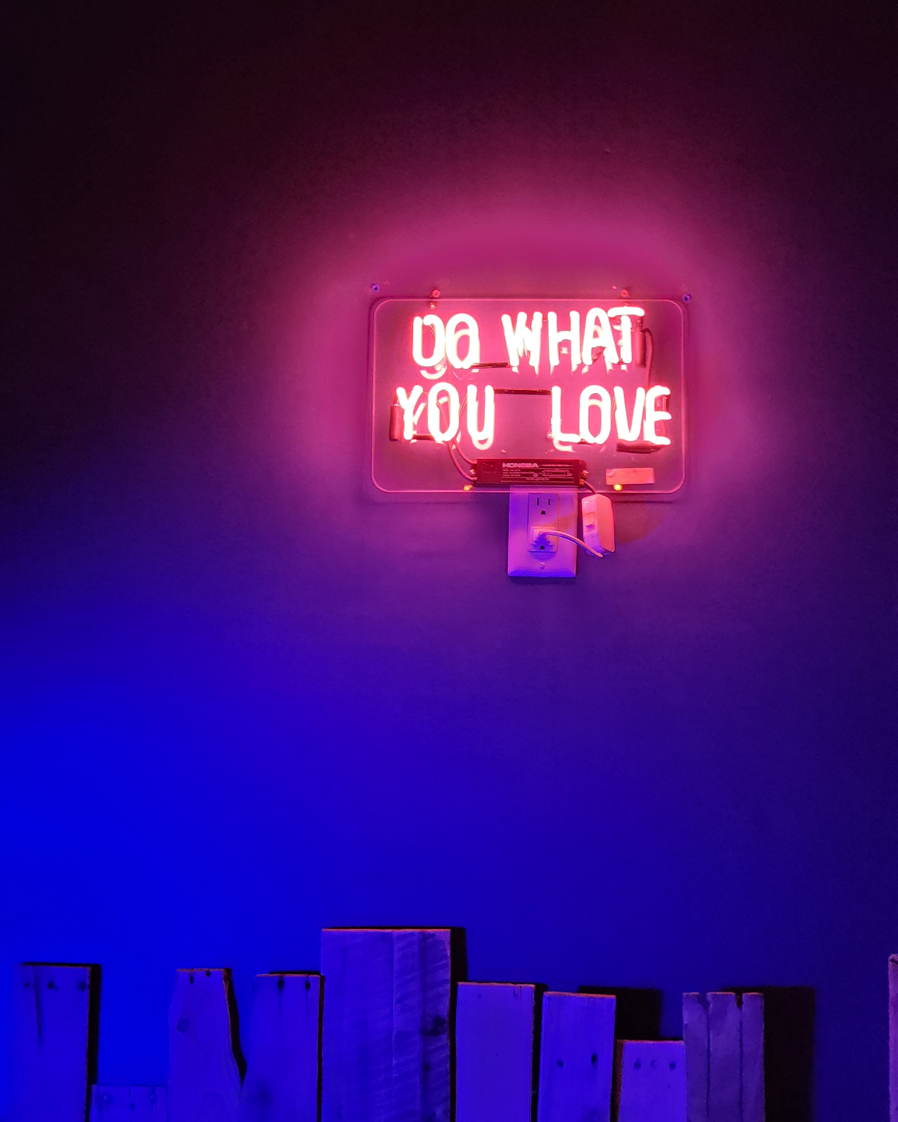 Do What You Love