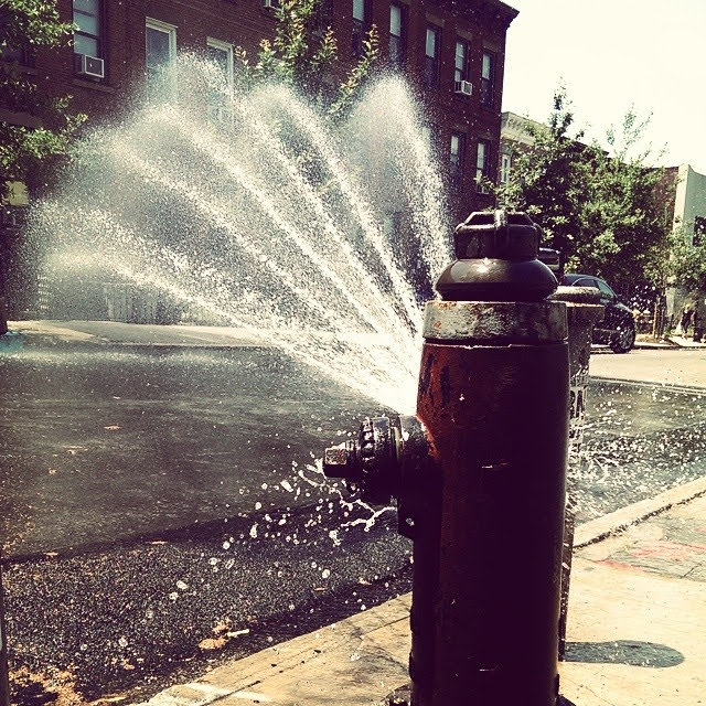 Fire Hydrant
